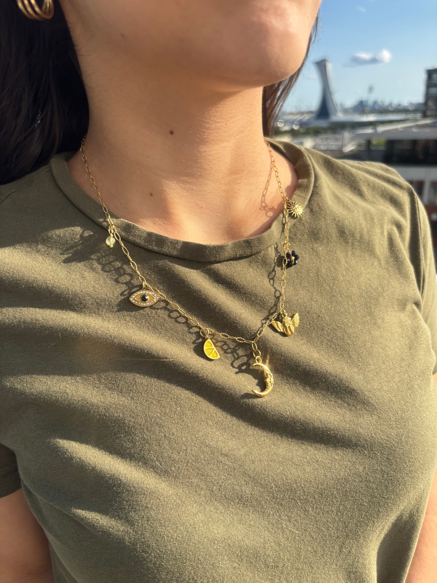 Colliers charms