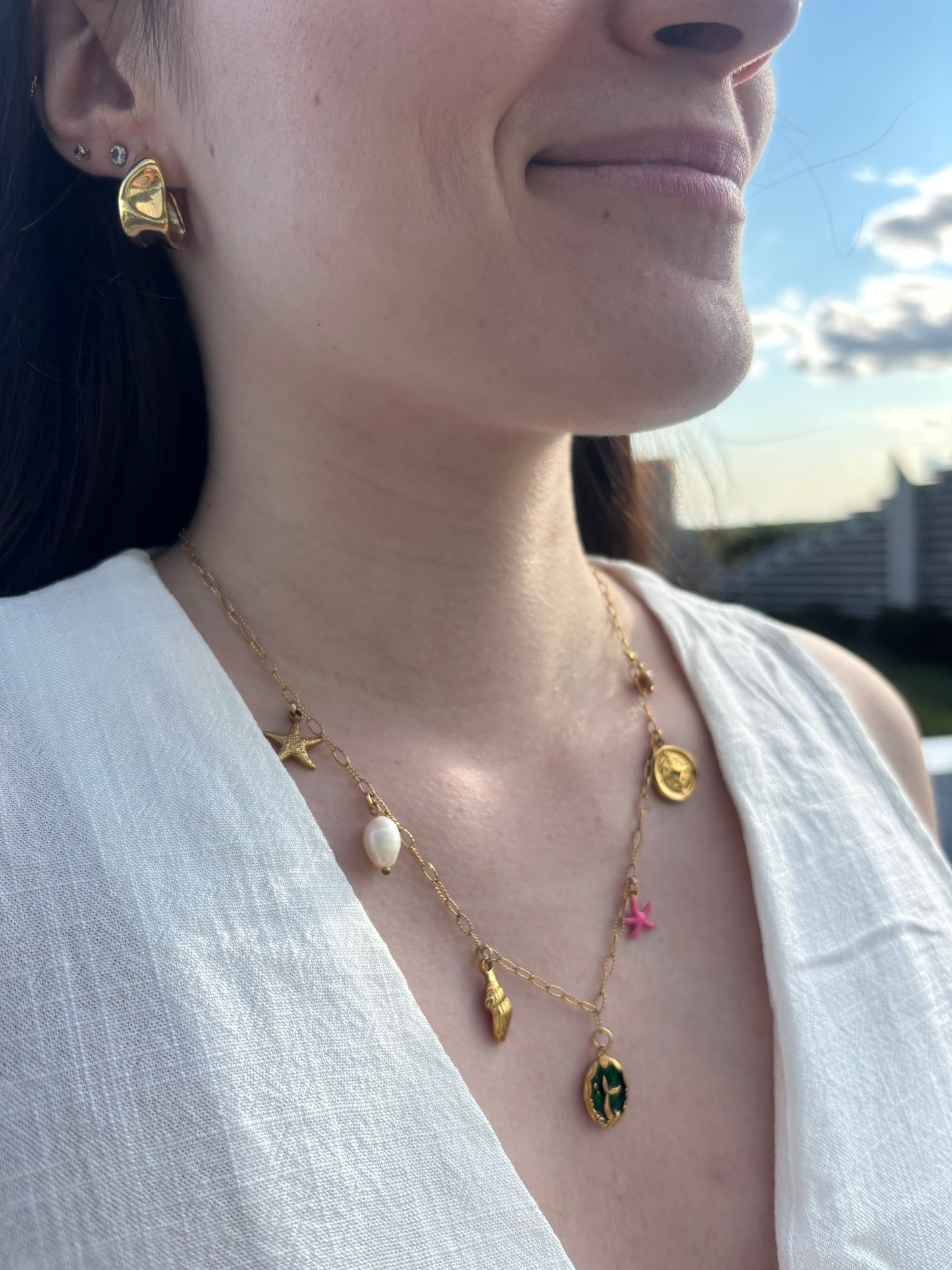 Colliers charms